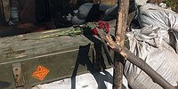 Ради чего остались в живых Юра из Донецка и Филипп из Львова
