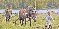 Учитель – киномеханик – почтальон…