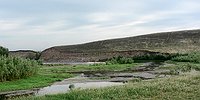 В ПОИСКАХ СИБИРСКОГО ДИНОЗАВРА