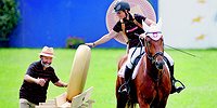 Без лактозы