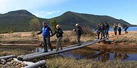 Хоть ползком, но в Россию