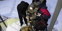 Нужен ли кому-то человек?