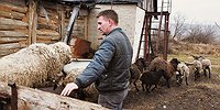 Ультиматум Путину