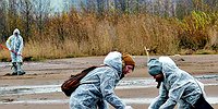 Агенты природы