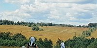 ПОЛЕВОЙ ЭКСПЕРИМЕНТ