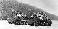 Островной инстинкт