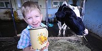 Новое столичное молоко