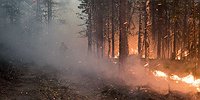 Верховой пожар