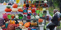 Окна Росстата: вид на жительство