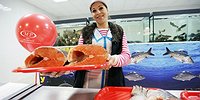 Рыба станет дешевле,