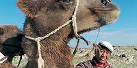 Поющие в степи