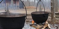 Клен в сиропе