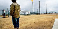 Америка вцепилась в добычу