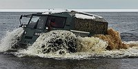 Только не летает