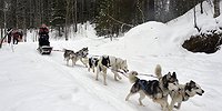 Такая вот Карелия