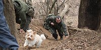 Выжившие