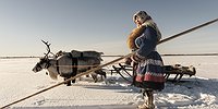 Боги болот никого не отпустят