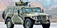 «Тигры» патриотов