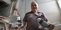 МУЗЫ НЕБЕСНЫЕ