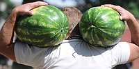 Добавленная спелость
