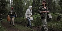 Путь лисички