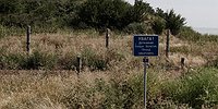 «Стена от российских кур»