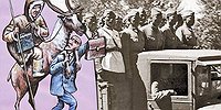 Страна внарезку