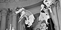 Космические дворняги