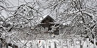 За стеклом-2