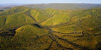 Есть в Приморье гектар