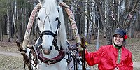 Популярная экология