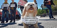 Хрущобная оттепель