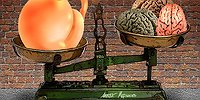 Чего больше всего боится власть