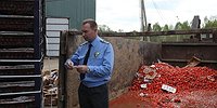 Этот сыр придуман не нами...