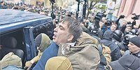 Мишкина крыша