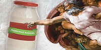 Сотворение жизни