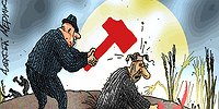 В плену у биороботов