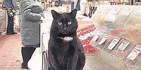 Кому на Руси жить хорошо?