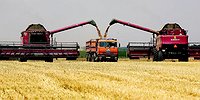 Кушать продано