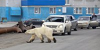 Климатический апокалипсис