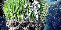 Чья в стране земля?