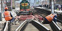 Шпальцы веером