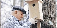 Кепка и хозяйственник