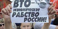 Вступили или вляпались?