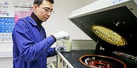 Разрабатываются десятки вакцин против вируса