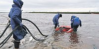 Кодекс отчасти