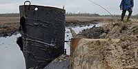 Чернослив