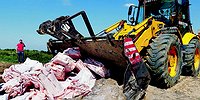 Тонкий контроллинг