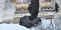 ЦБ перешел на продленку