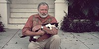 Портрет писателя с котиком